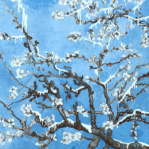 中国老太大屁股刚交
